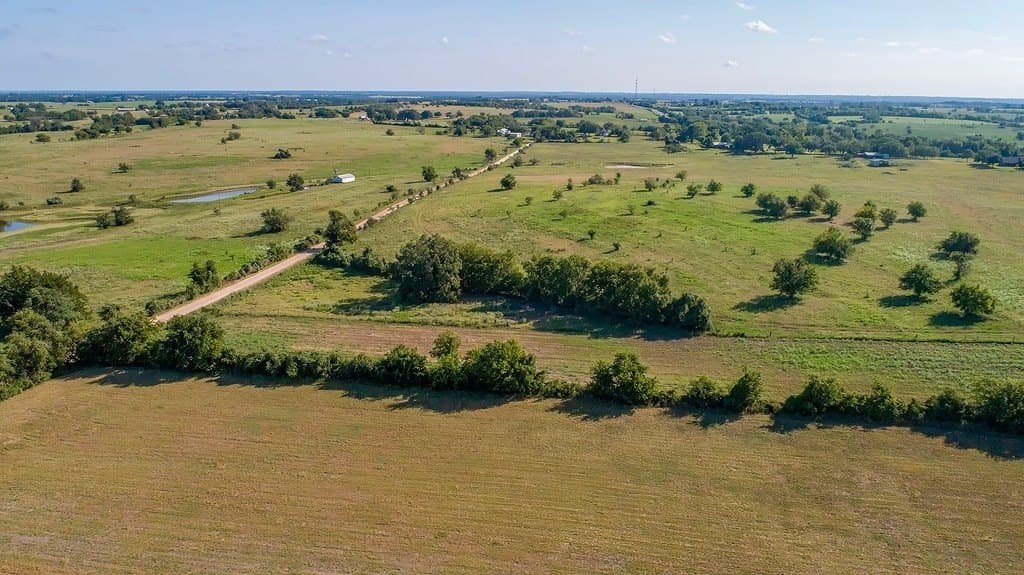 41.5 acres in Austin County featured view