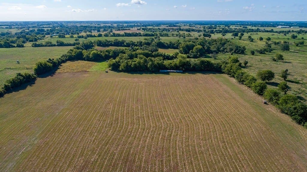 41.5 acres in Austin County gallery image 2