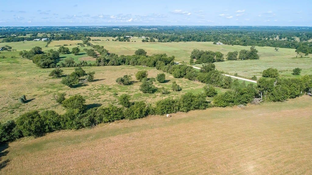 41.5 acres in Austin County gallery image 4
