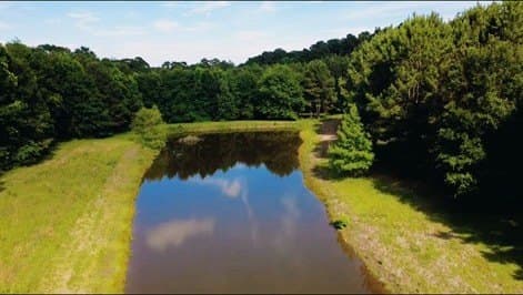 33.6 acres in Texas County - photo 8