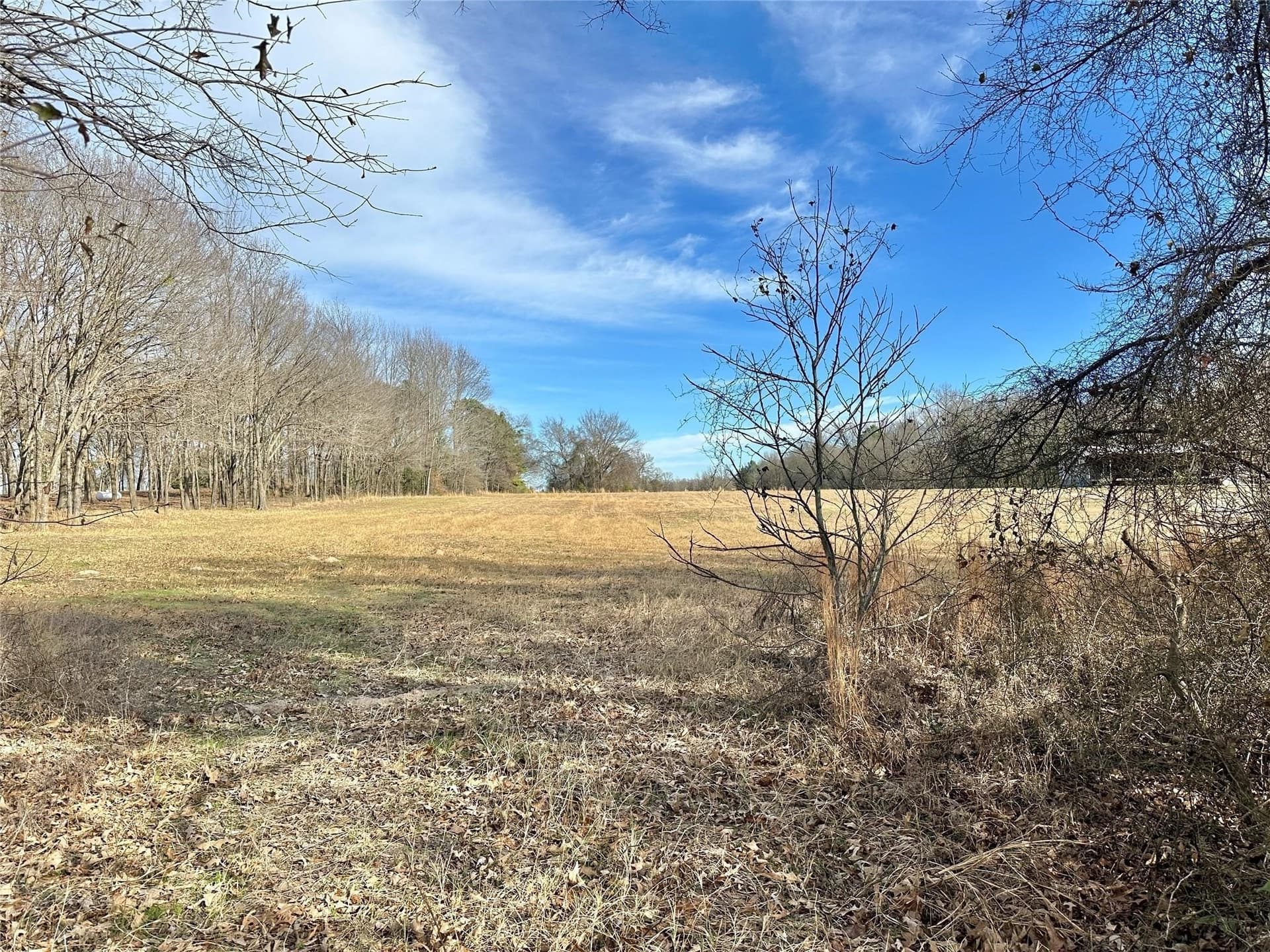 10.49 acres in Hopkins County gallery image 2
