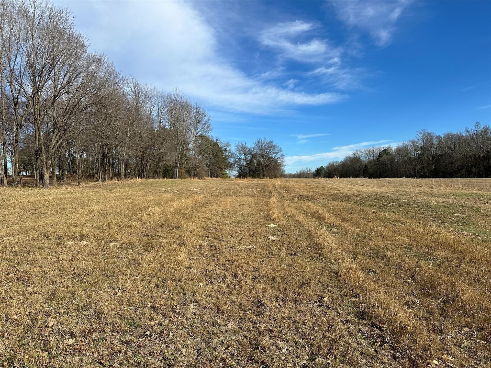 10.49 acres in Hopkins County - photo 11