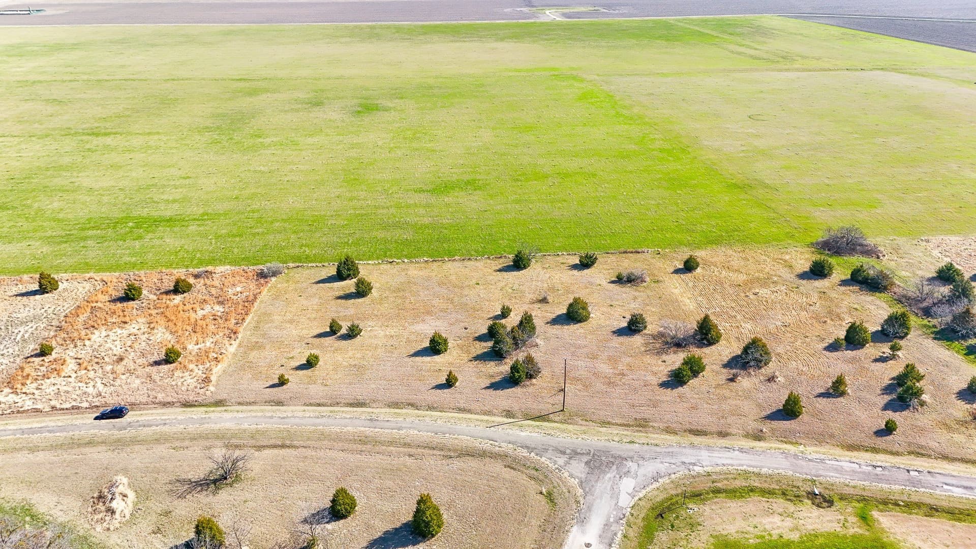 1.5 acres in Navarro County - photo 3