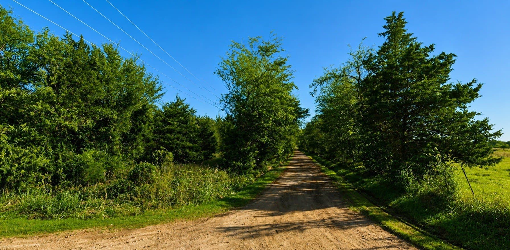 10.2 acres in Hopkins County - photo 6
