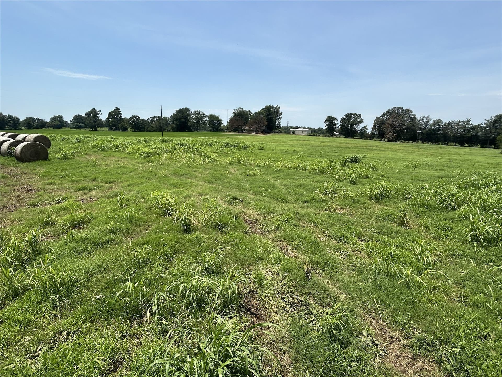 10.2 acres in Hopkins County - photo 4