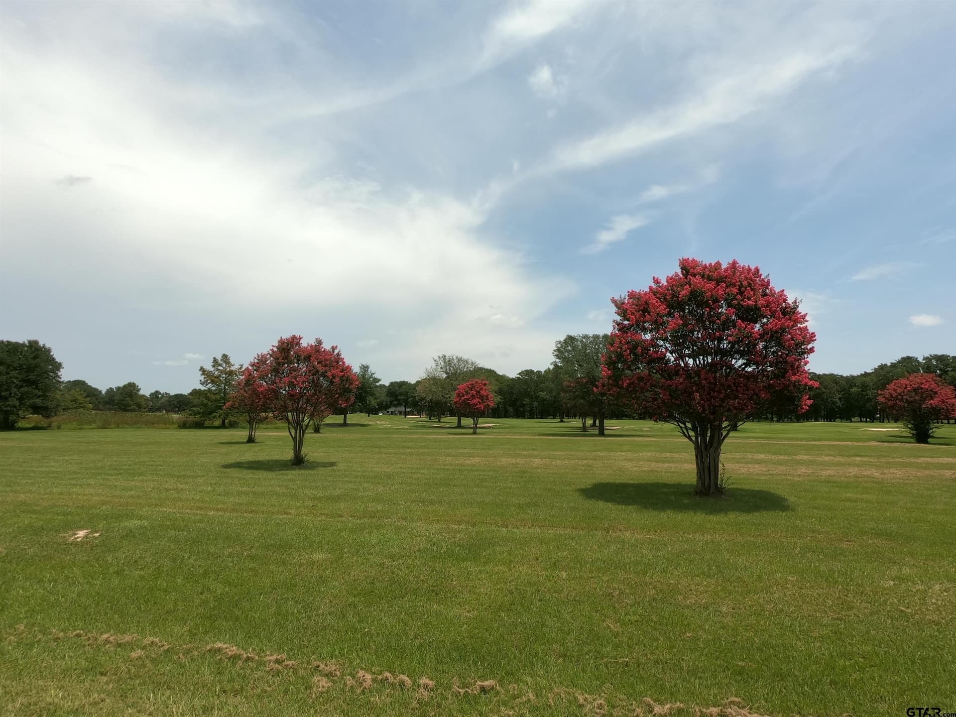 0.8 acres in Wood County - photo 21