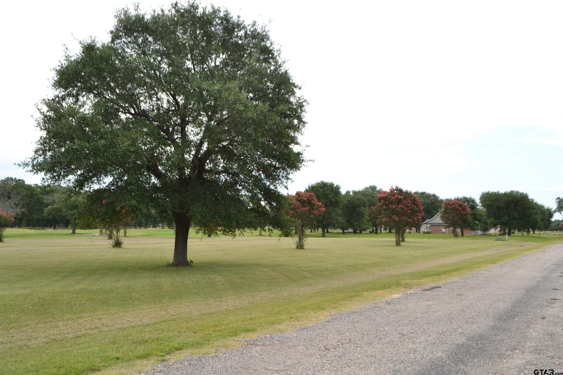 0.8 acres in Wood County - photo 14