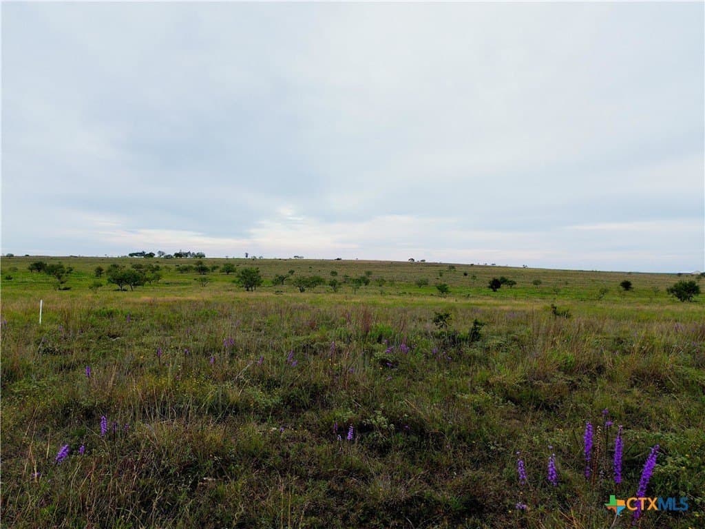 23.14 acres in Lampasas County gallery image 4