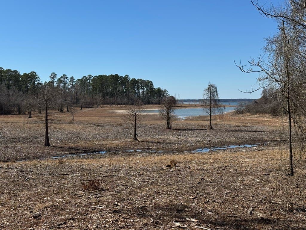 1.1 acres in Texas County - photo 10
