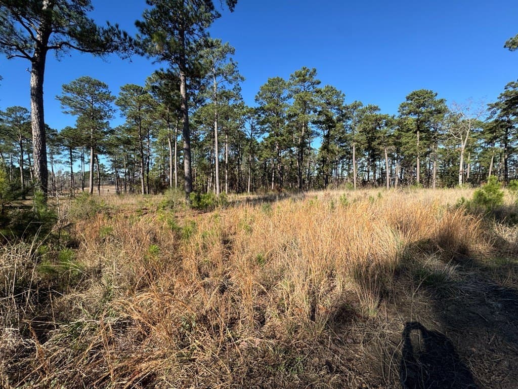 1.1 acres in Texas County - photo 6