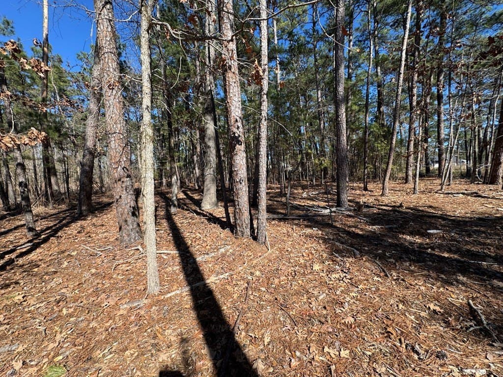 1.1 acres in Texas County - photo 12