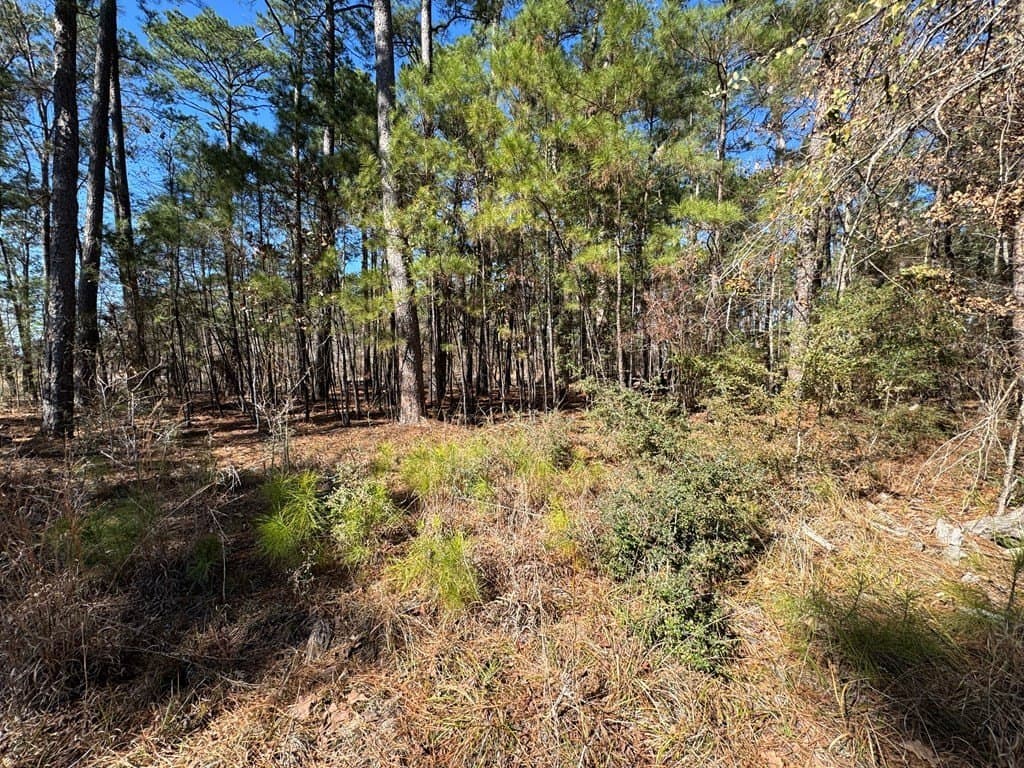 1.1 acres in Texas County - photo 15