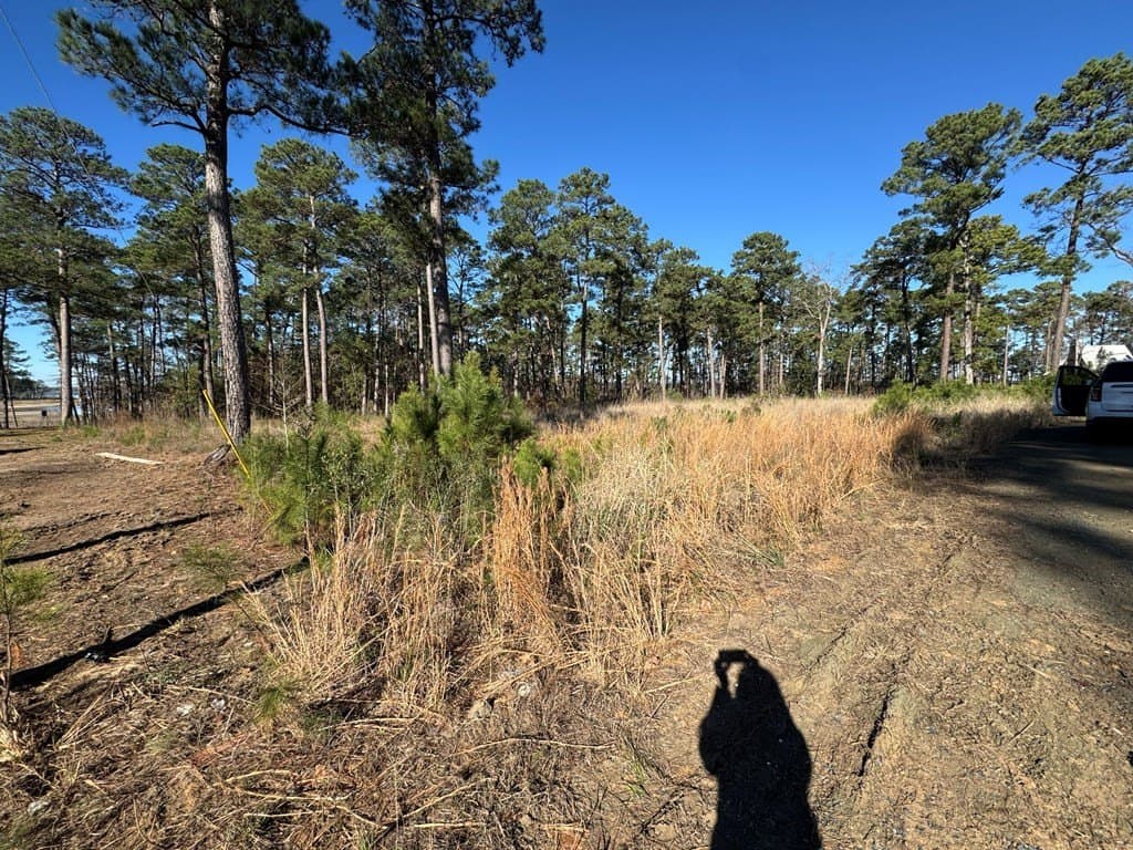 1.1 acres in Texas County - photo 3