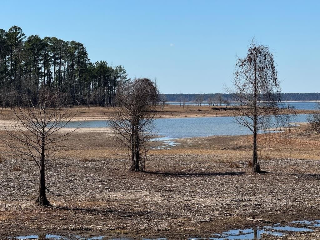 1.1 acres in Texas County