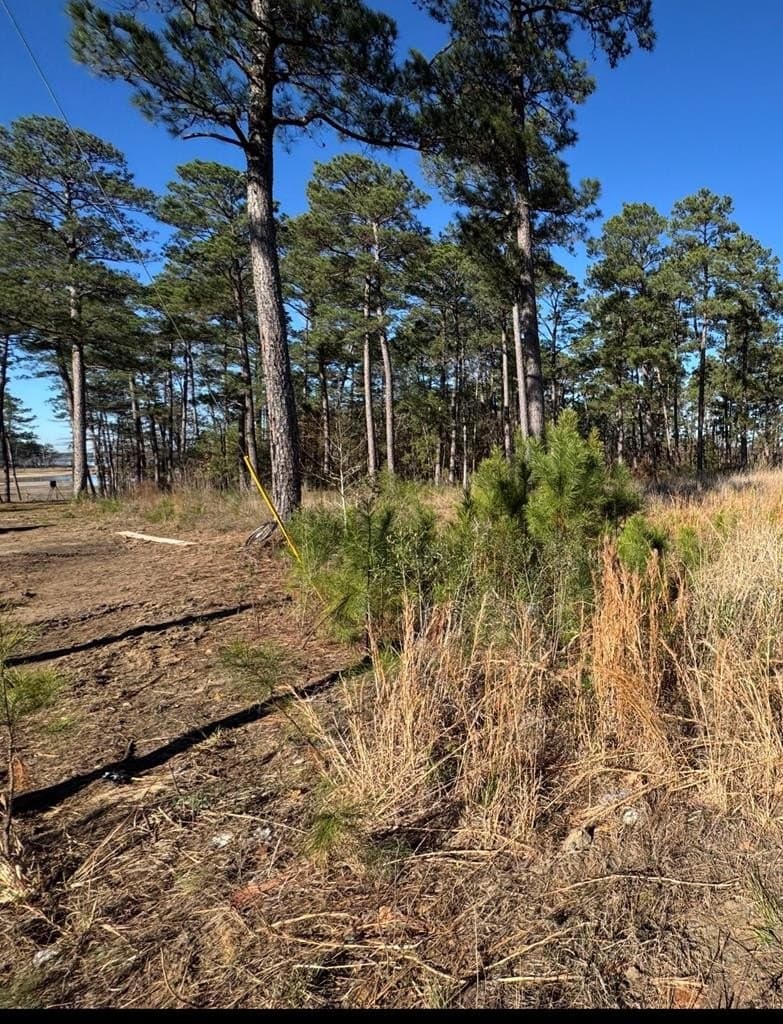 1.1 acres in Texas County - photo 11