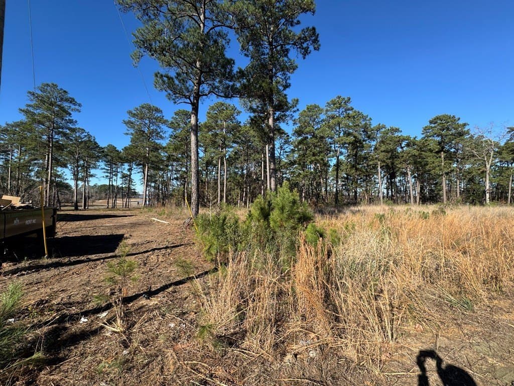 1.1 acres in Texas County - photo 5