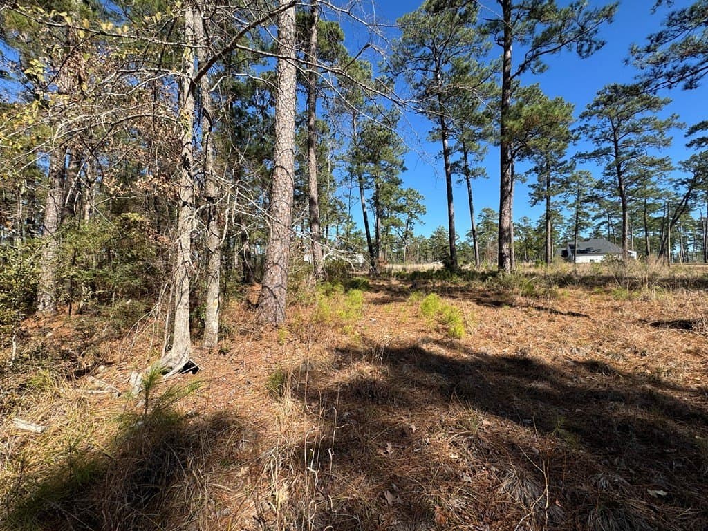 1.1 acres in Texas County - photo 14
