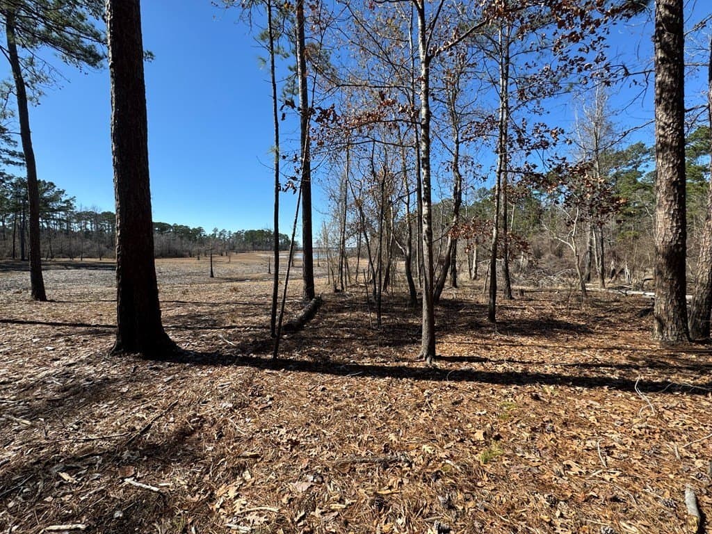 1.1 acres in Texas County - photo 13