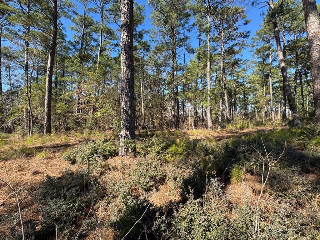 1.1 acres in Texas County - photo 16