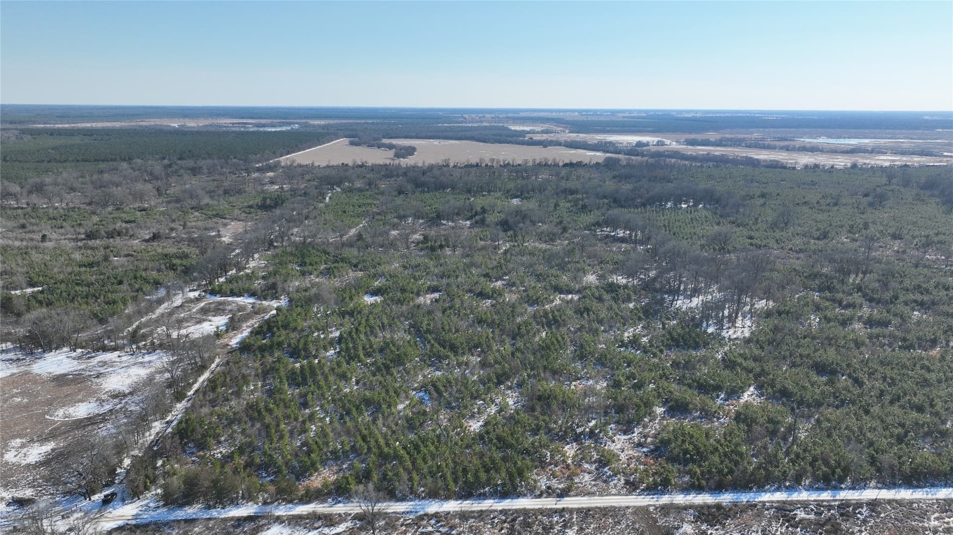 129.27 acres in Red River (TX) County gallery image 3