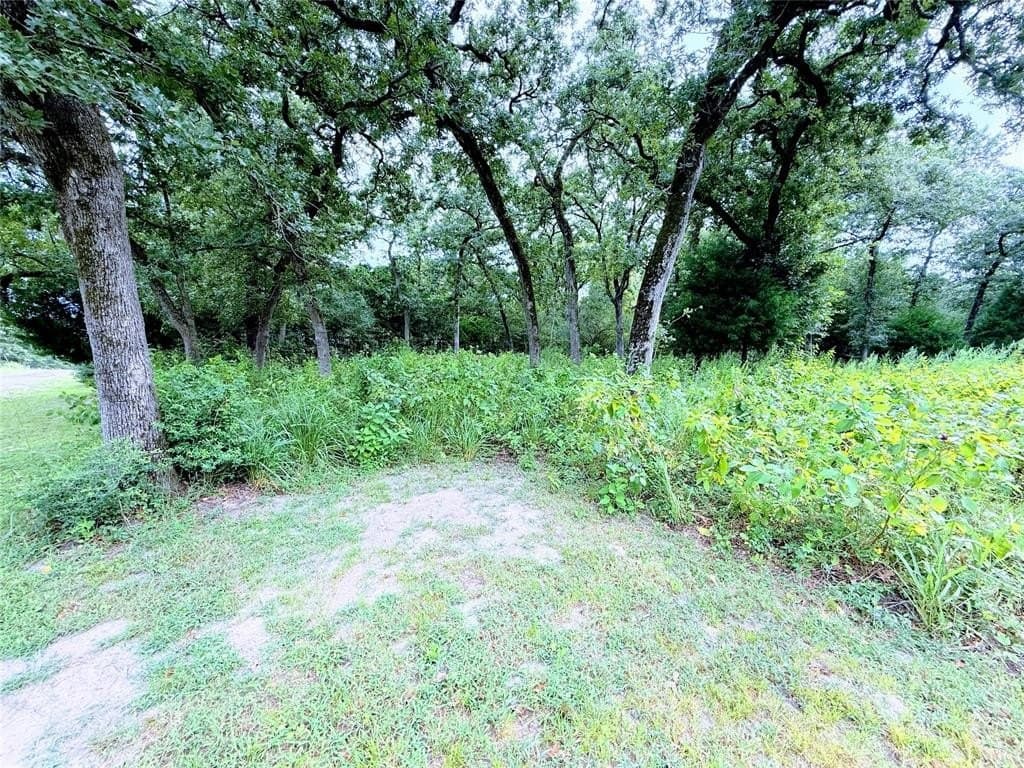 0.88 acres in Leon County gallery image 2