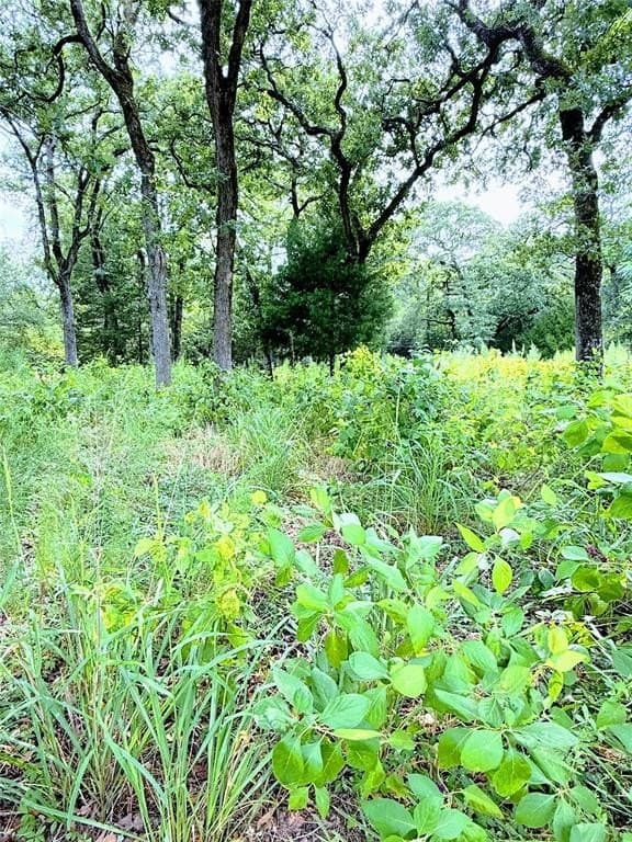 0.88 acres in Leon County gallery image 3