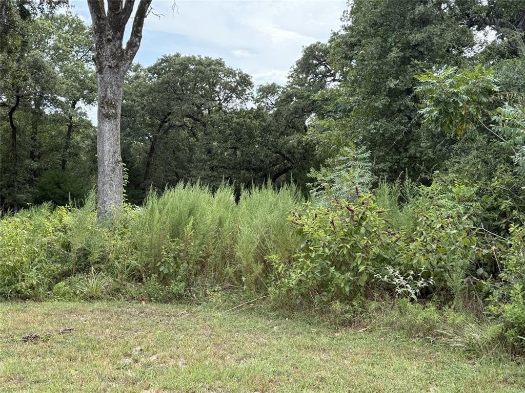 0.88 acres in Leon County gallery image 4
