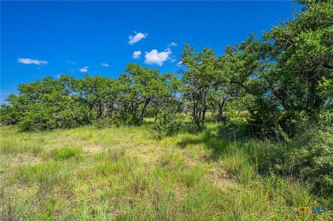 5.41 acres in Blanco County gallery image 4