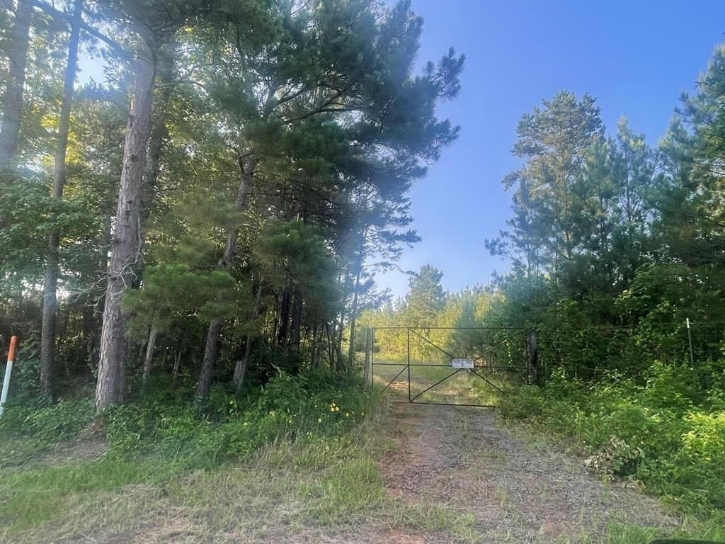 18.78 acres in Texas County - photo 2