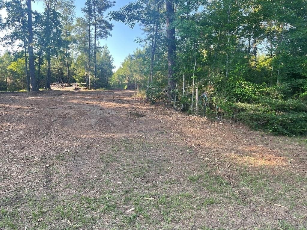 18.78 acres in Texas County - photo 5