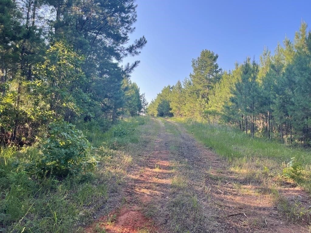 18.78 acres in Texas County - photo 3