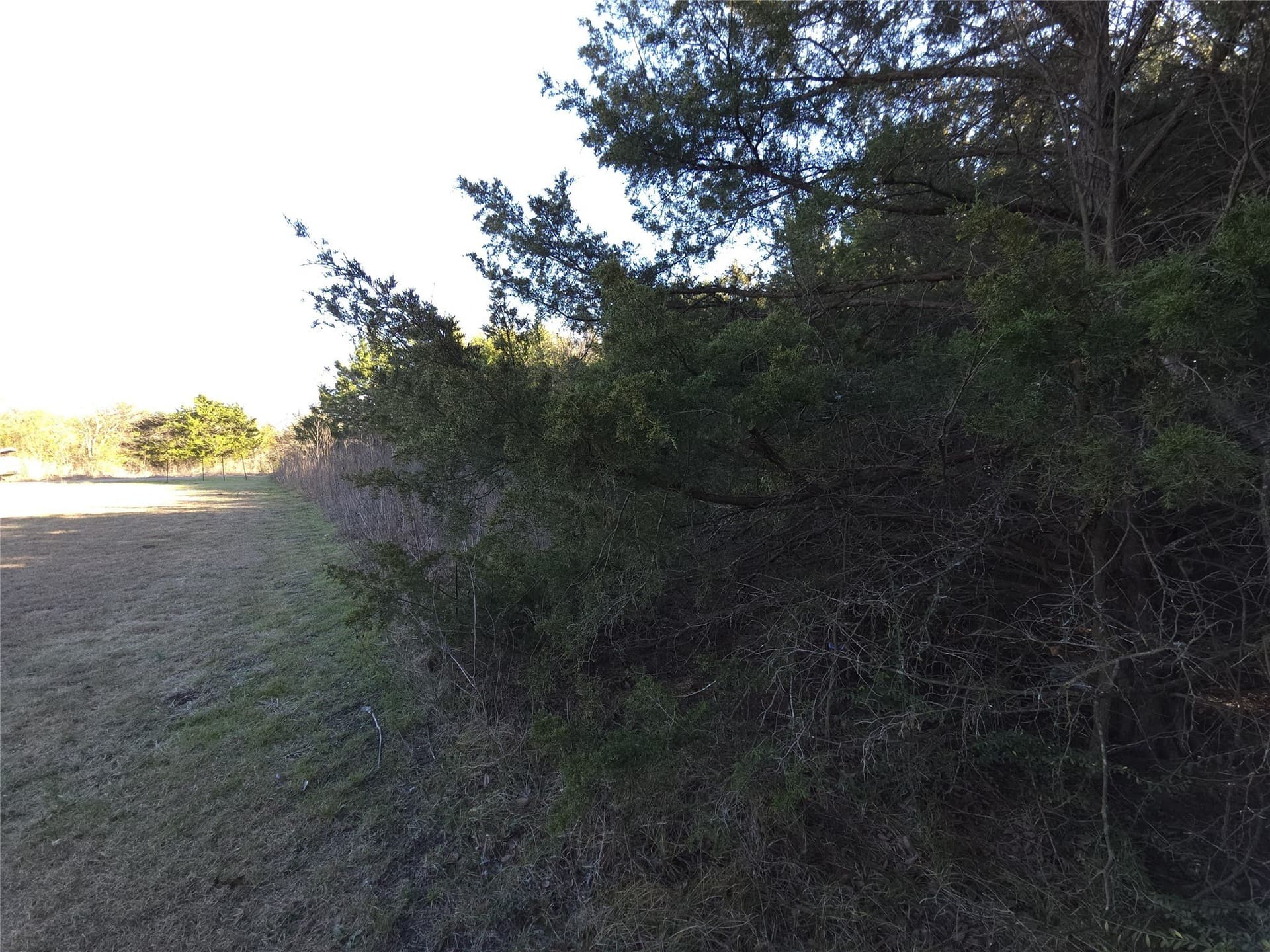0.16 acres in Hunt County gallery image 4