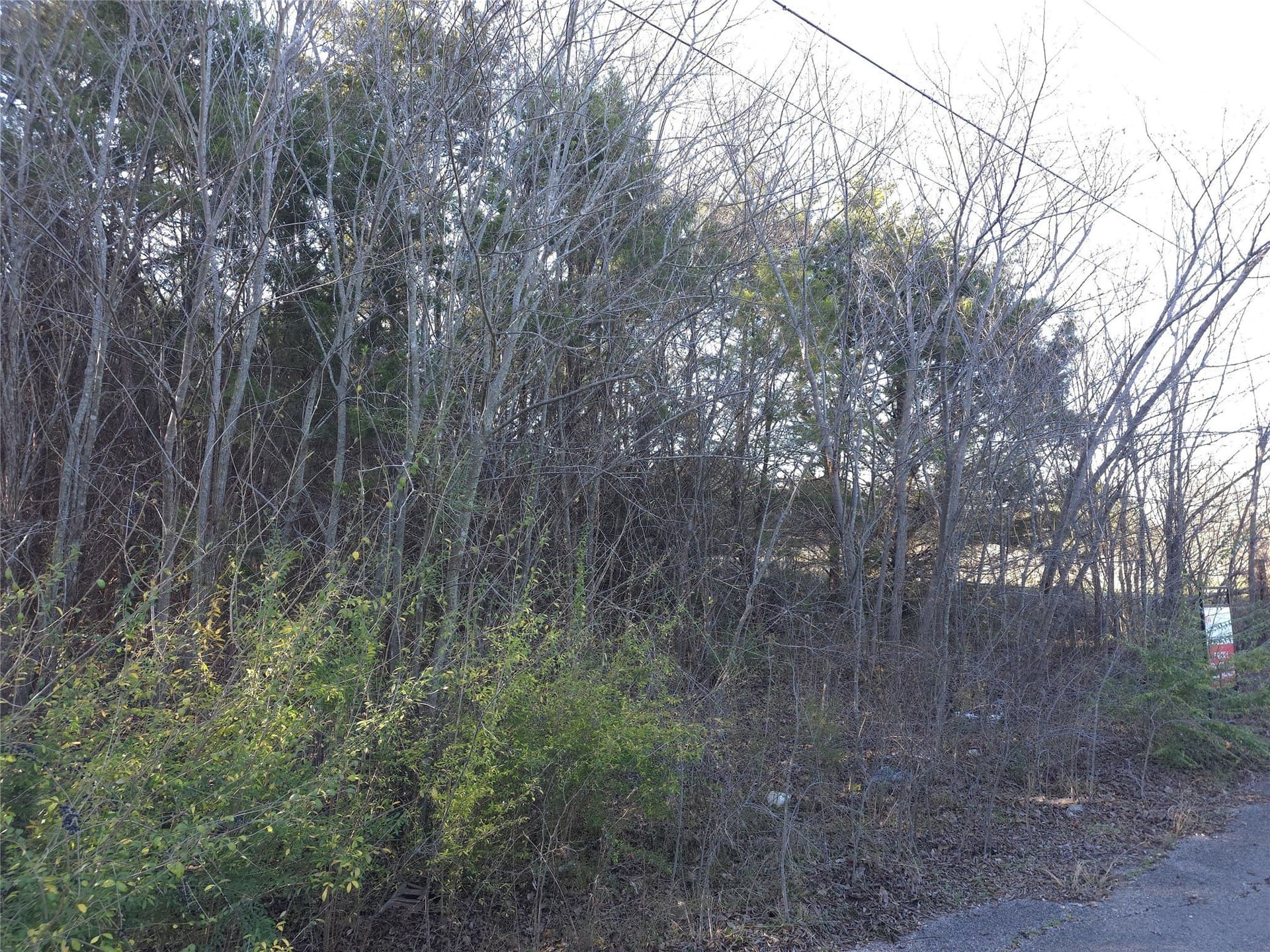 0.16 acres in Hunt County gallery image 3