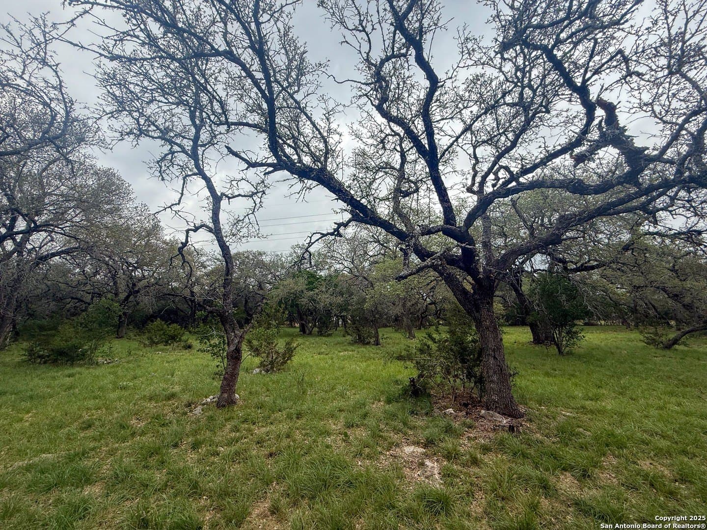 1.73 acres in Bexar County gallery image 4
