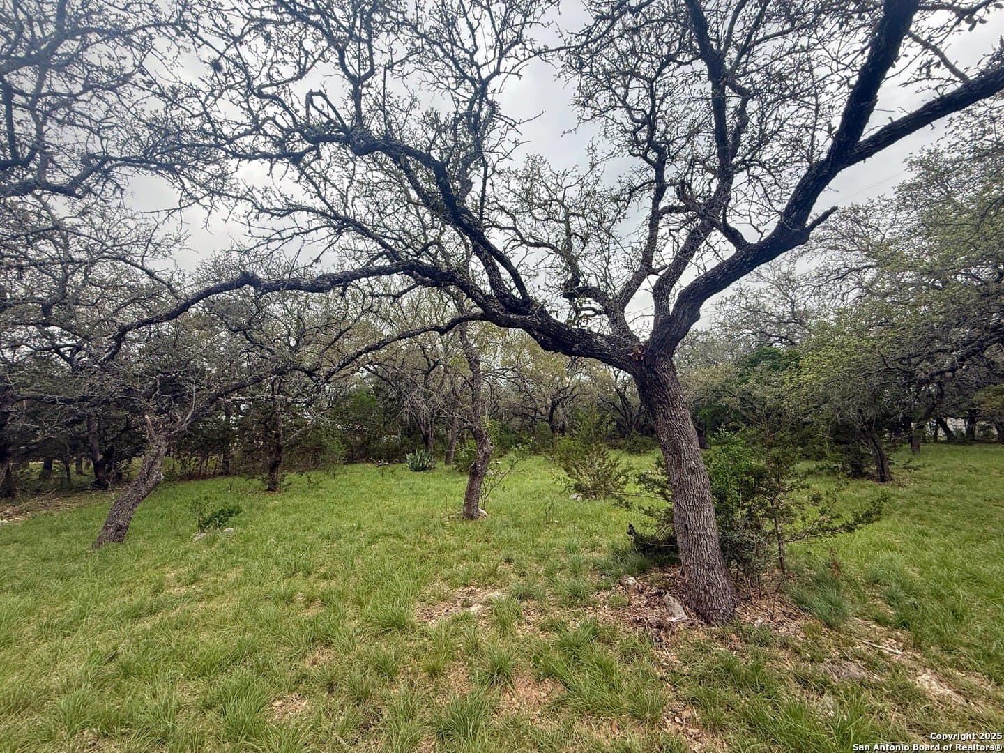 1.73 acres in Bexar County gallery image 3