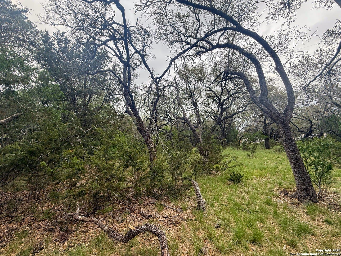 1.73 acres in Bexar County featured view