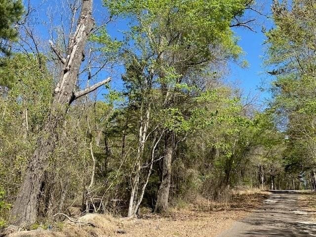 5.46 acres in VAN ZANDT County - photo 6