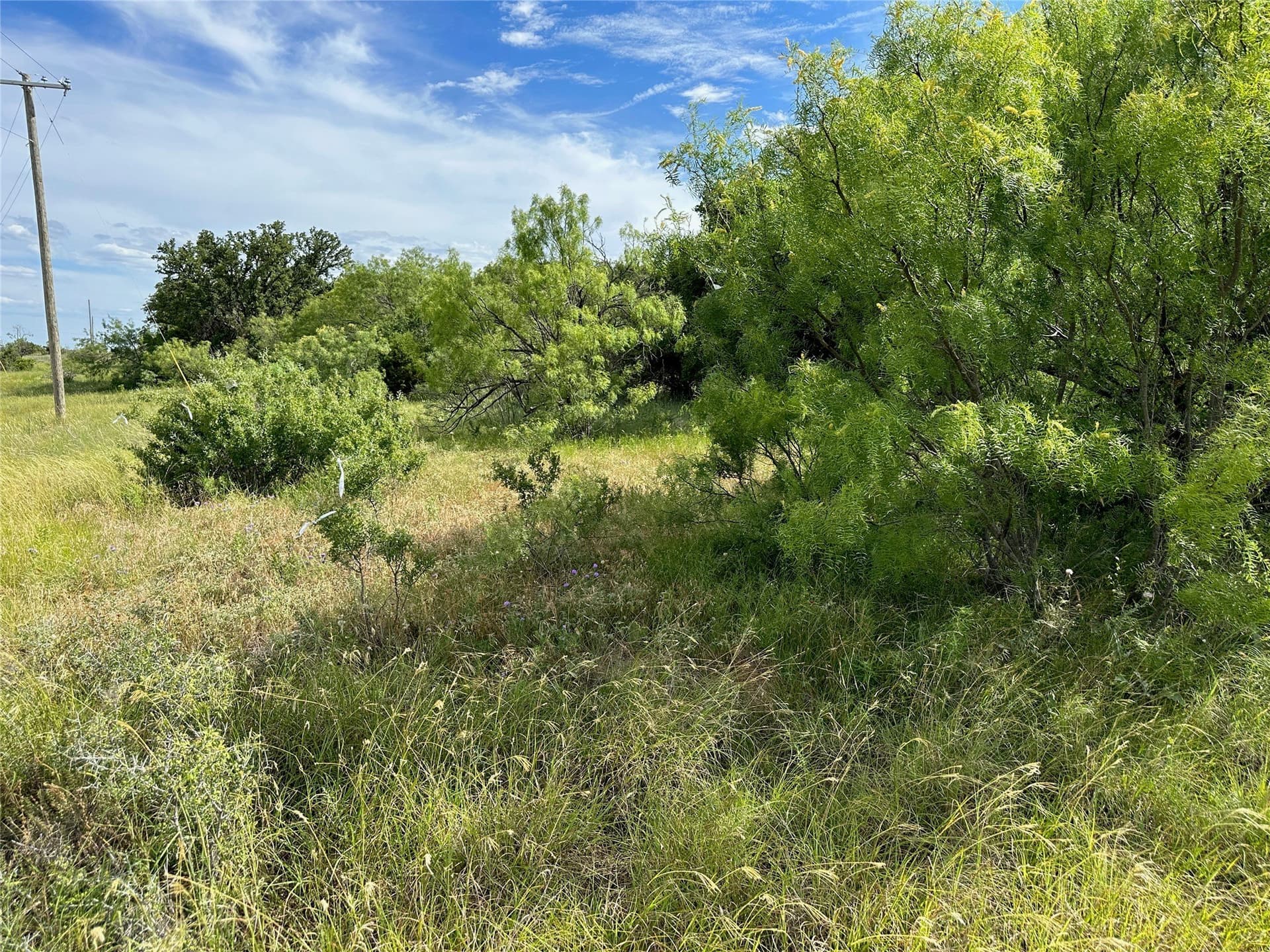 0.27 acres in Brown County - photo 6