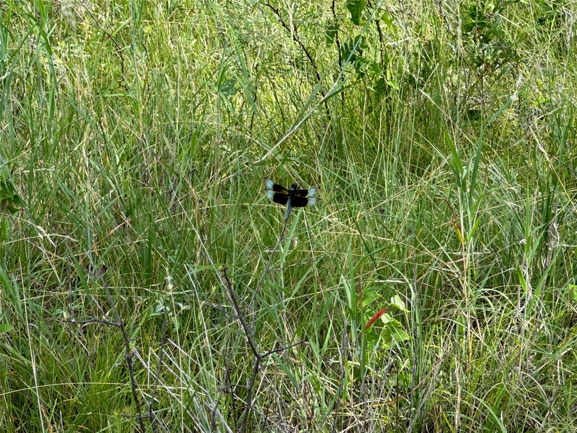 0.27 acres in Brown County - photo 8
