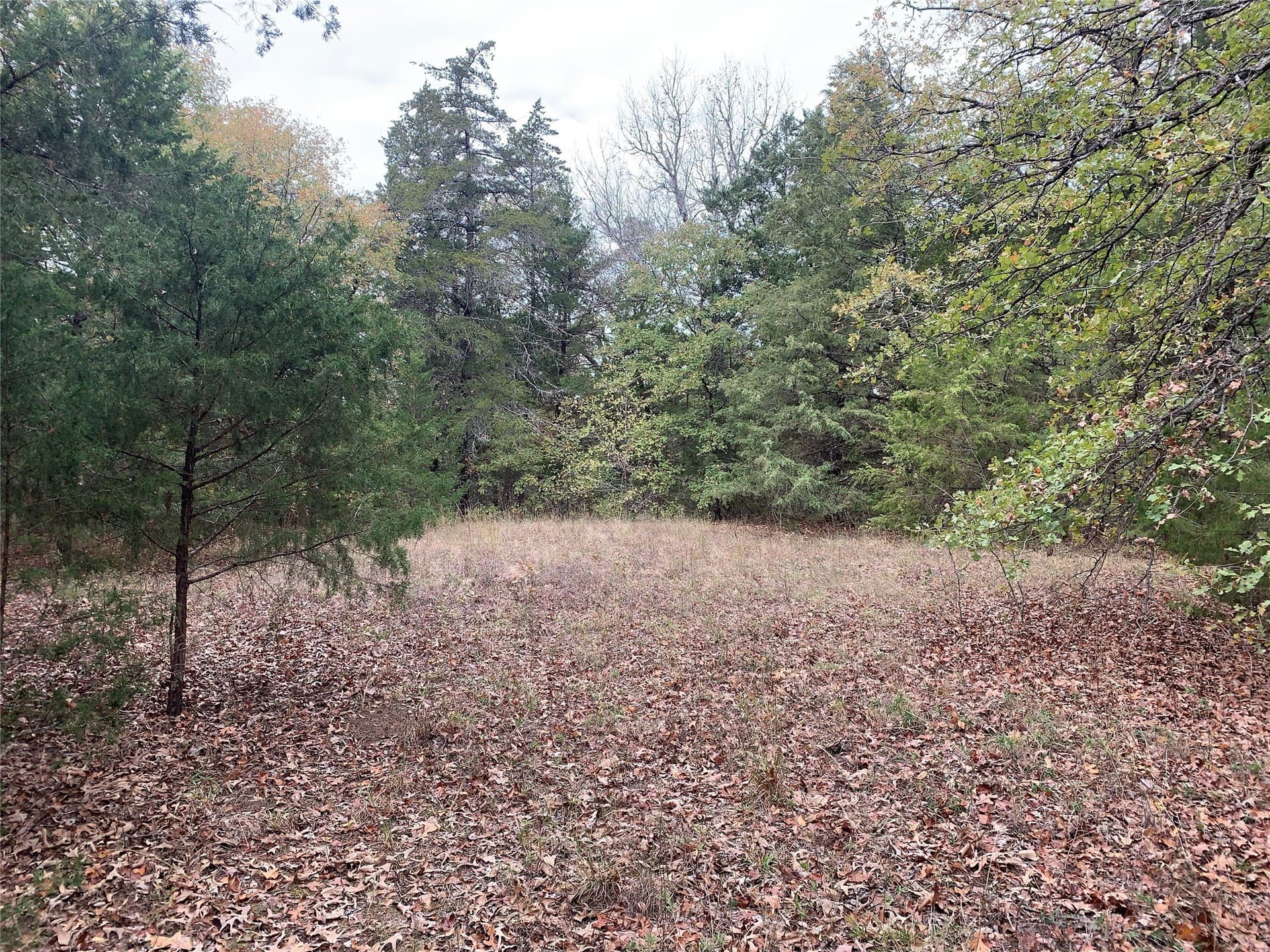 27.03 acres in Fannin County - photo 32