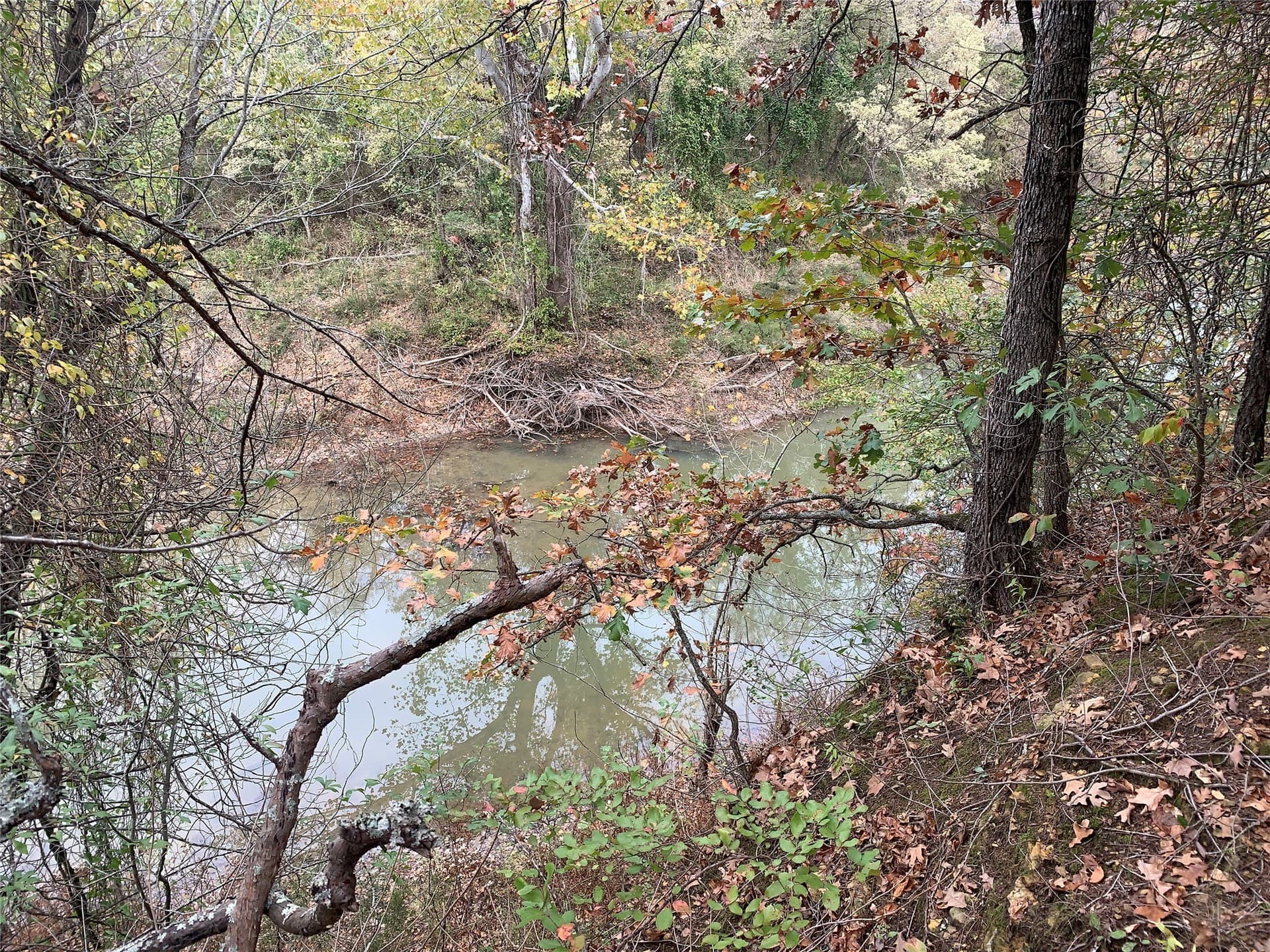 27.03 acres in Fannin County - photo 33