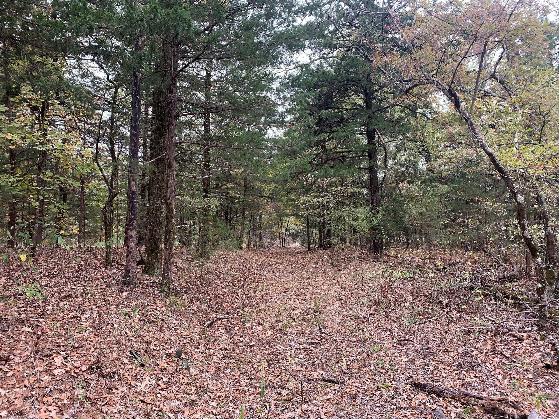 27.03 acres in Fannin County - photo 28