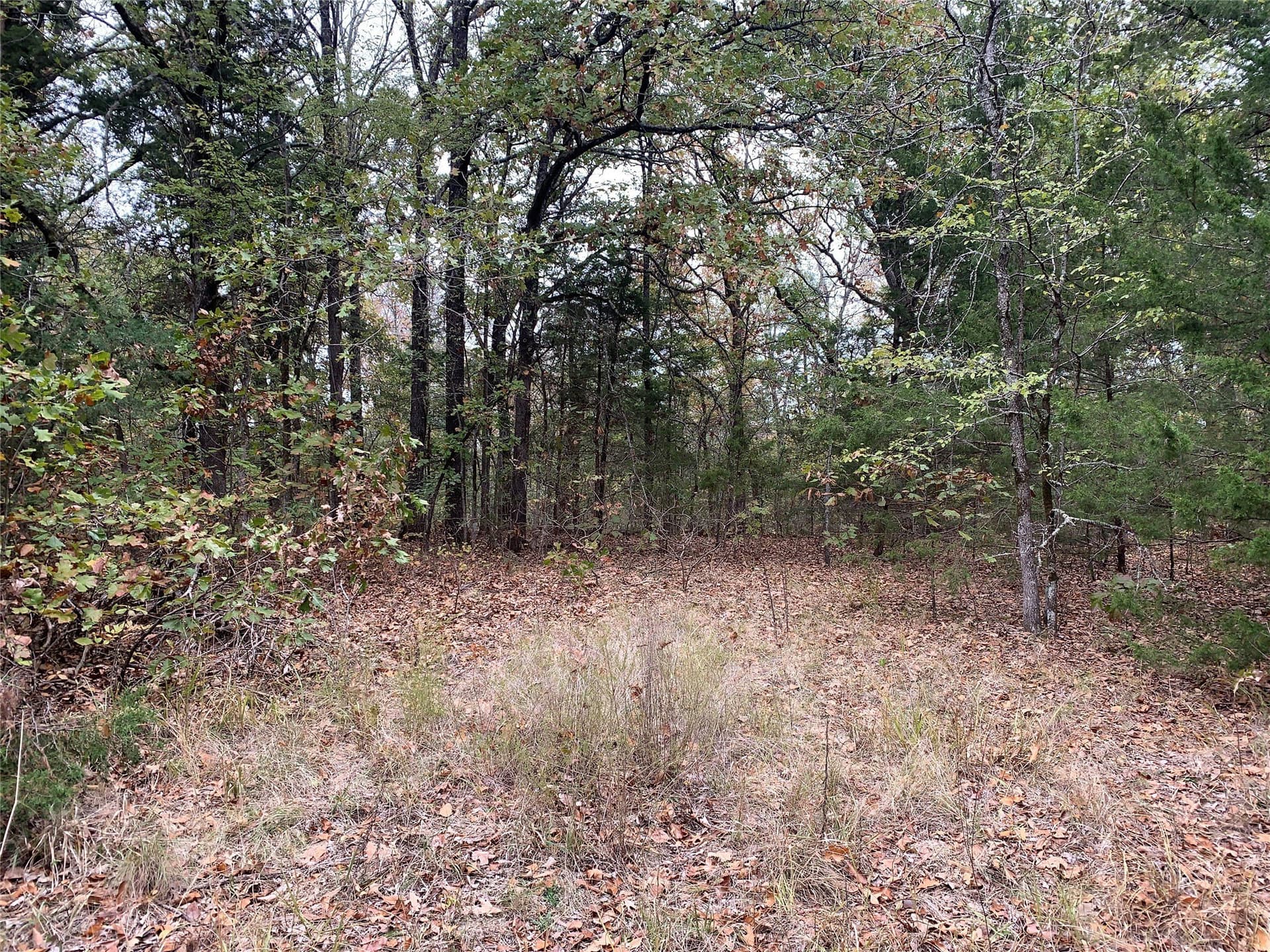 27.03 acres in Fannin County - photo 29
