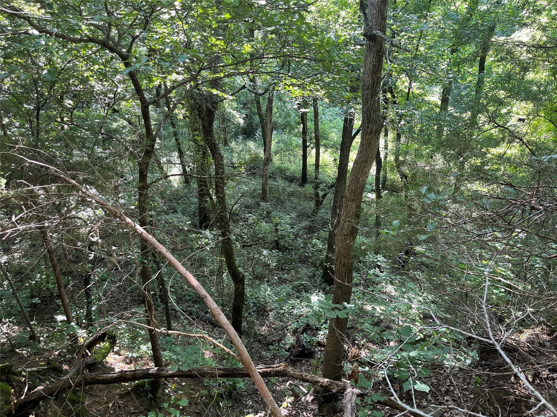 27.03 acres in Fannin County - photo 22