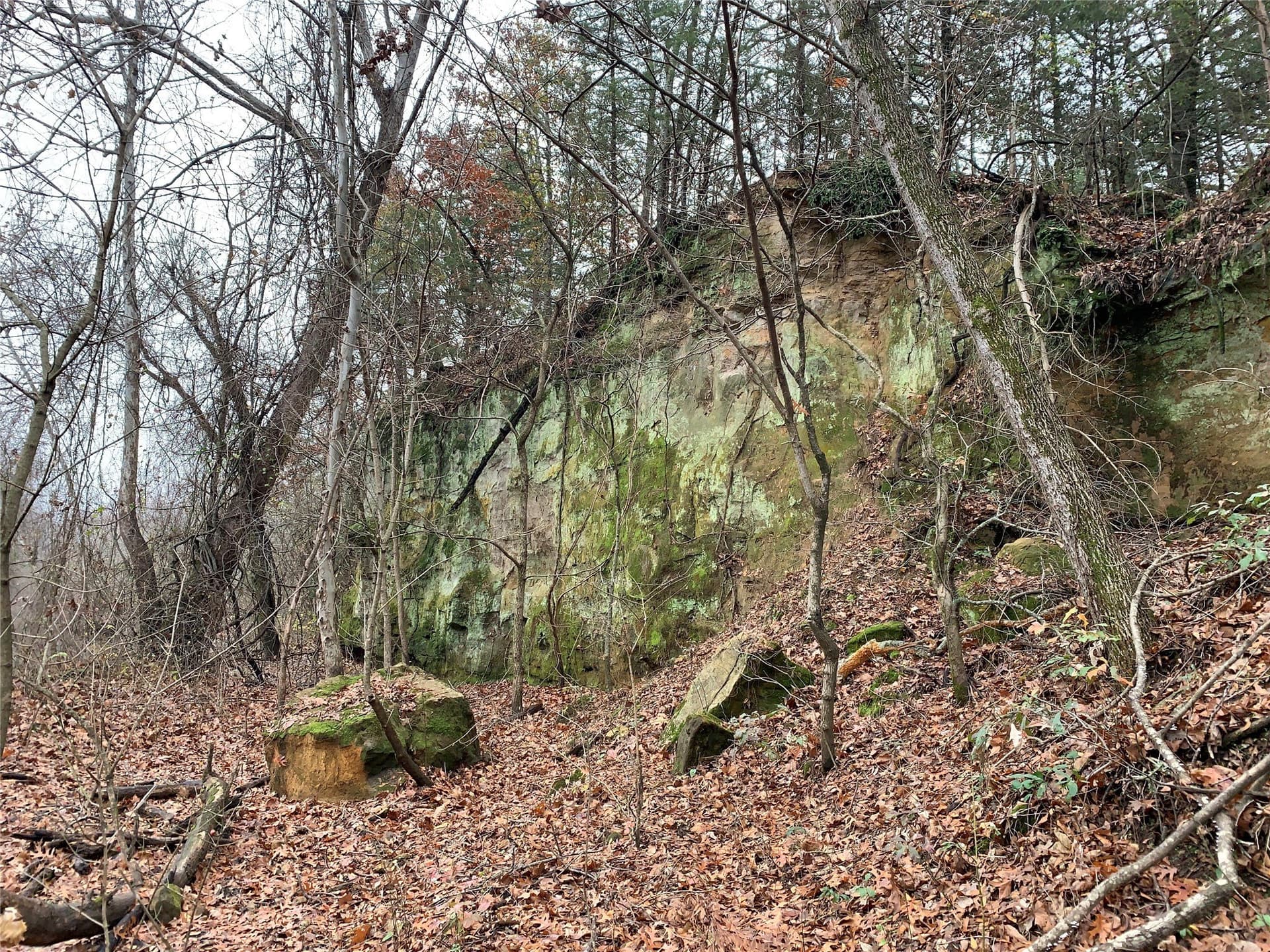 27.03 acres in Fannin County - photo 3