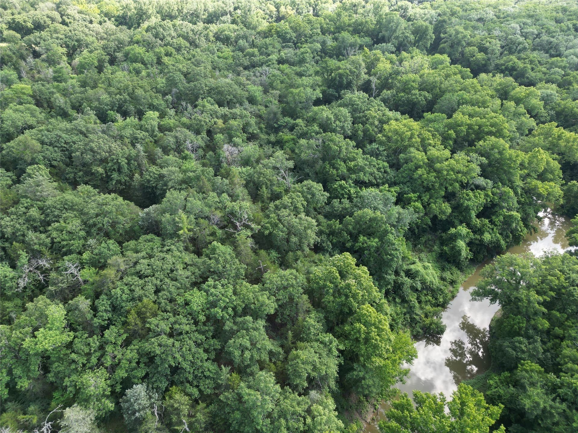27.03 acres in Fannin County - photo 9