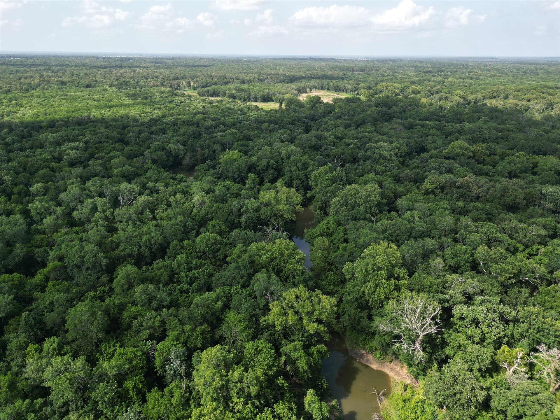 27.03 acres in Fannin County - photo 12