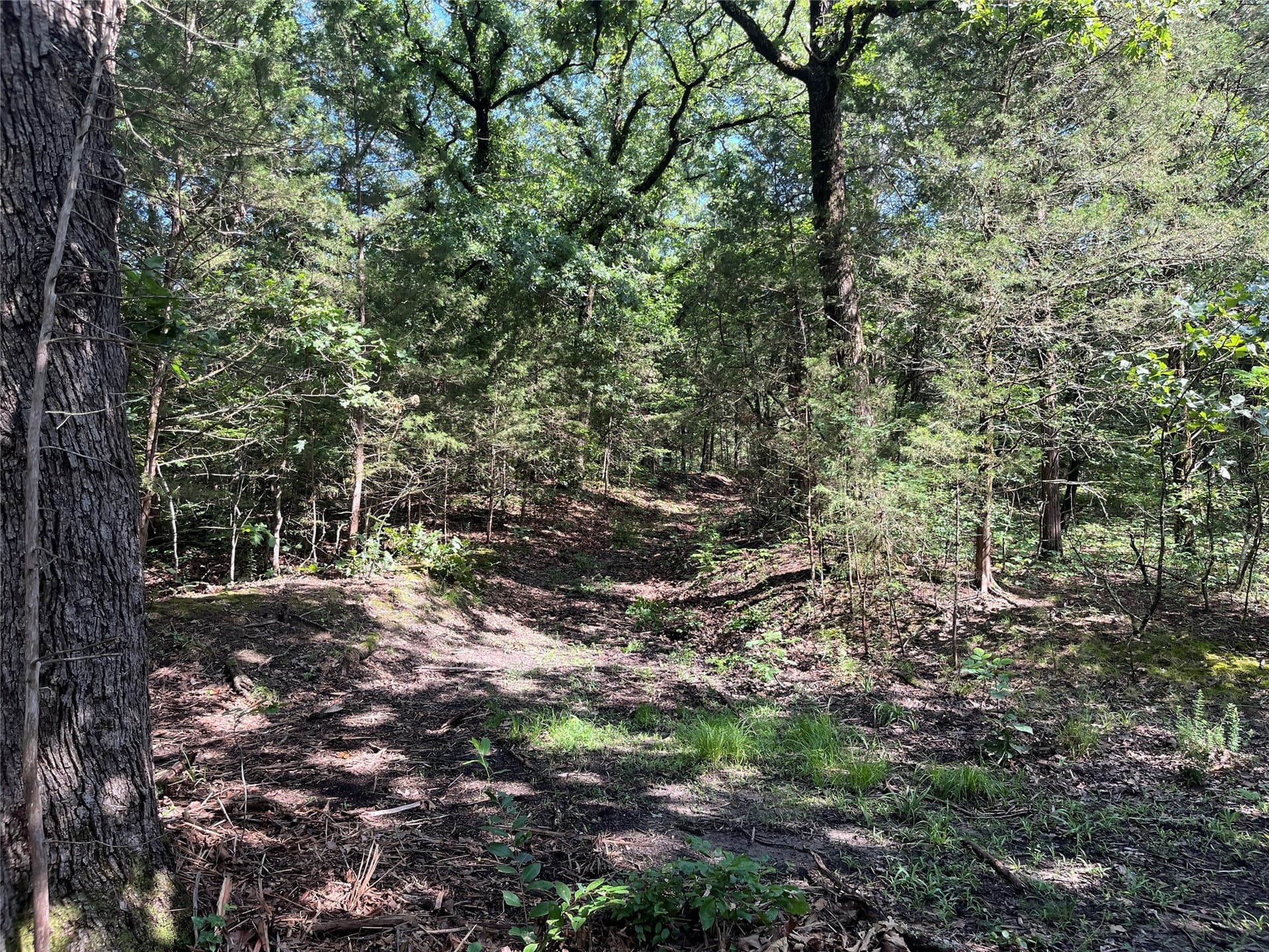 27.03 acres in Fannin County - photo 19