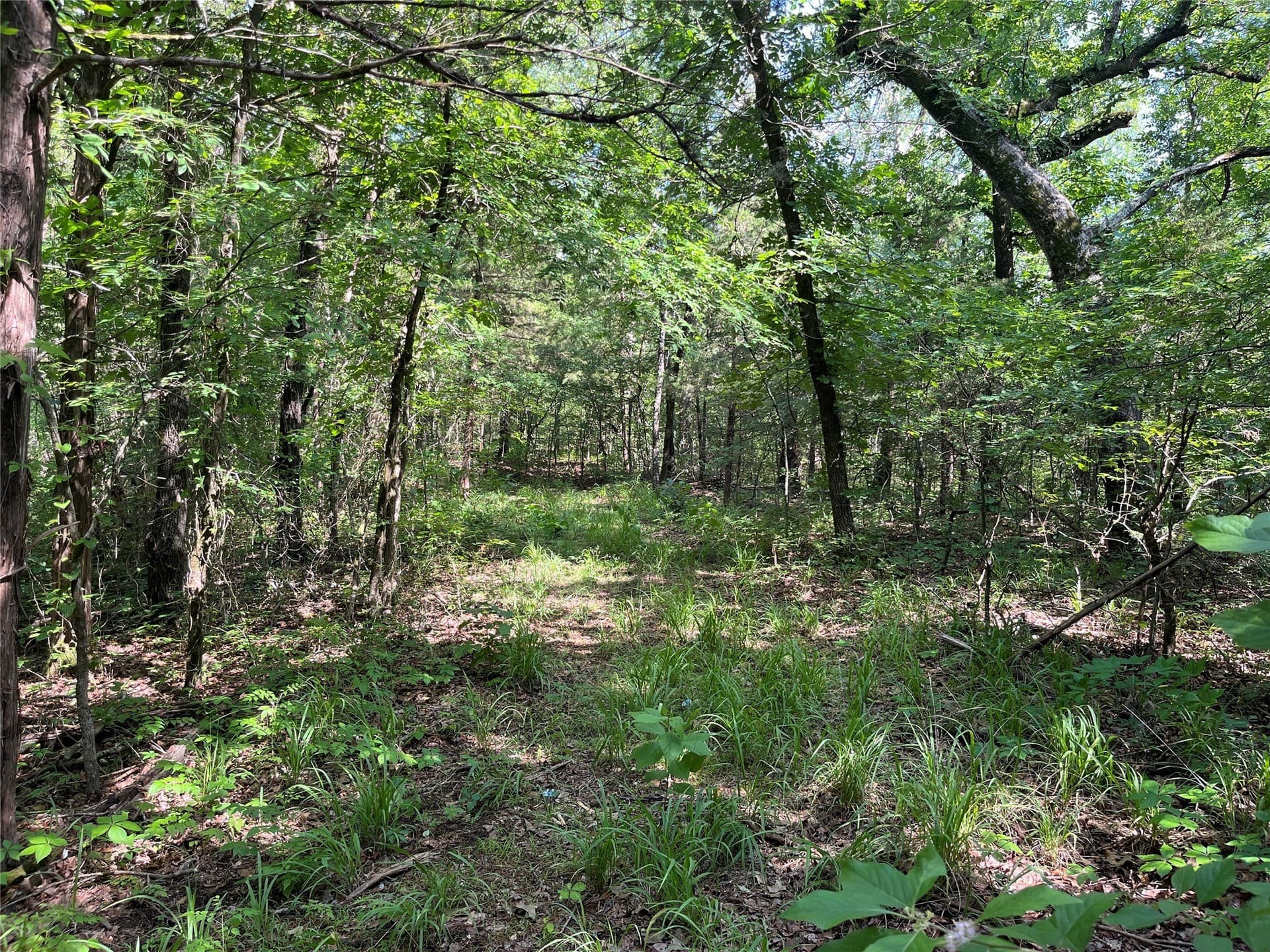 27.03 acres in Fannin County - photo 16
