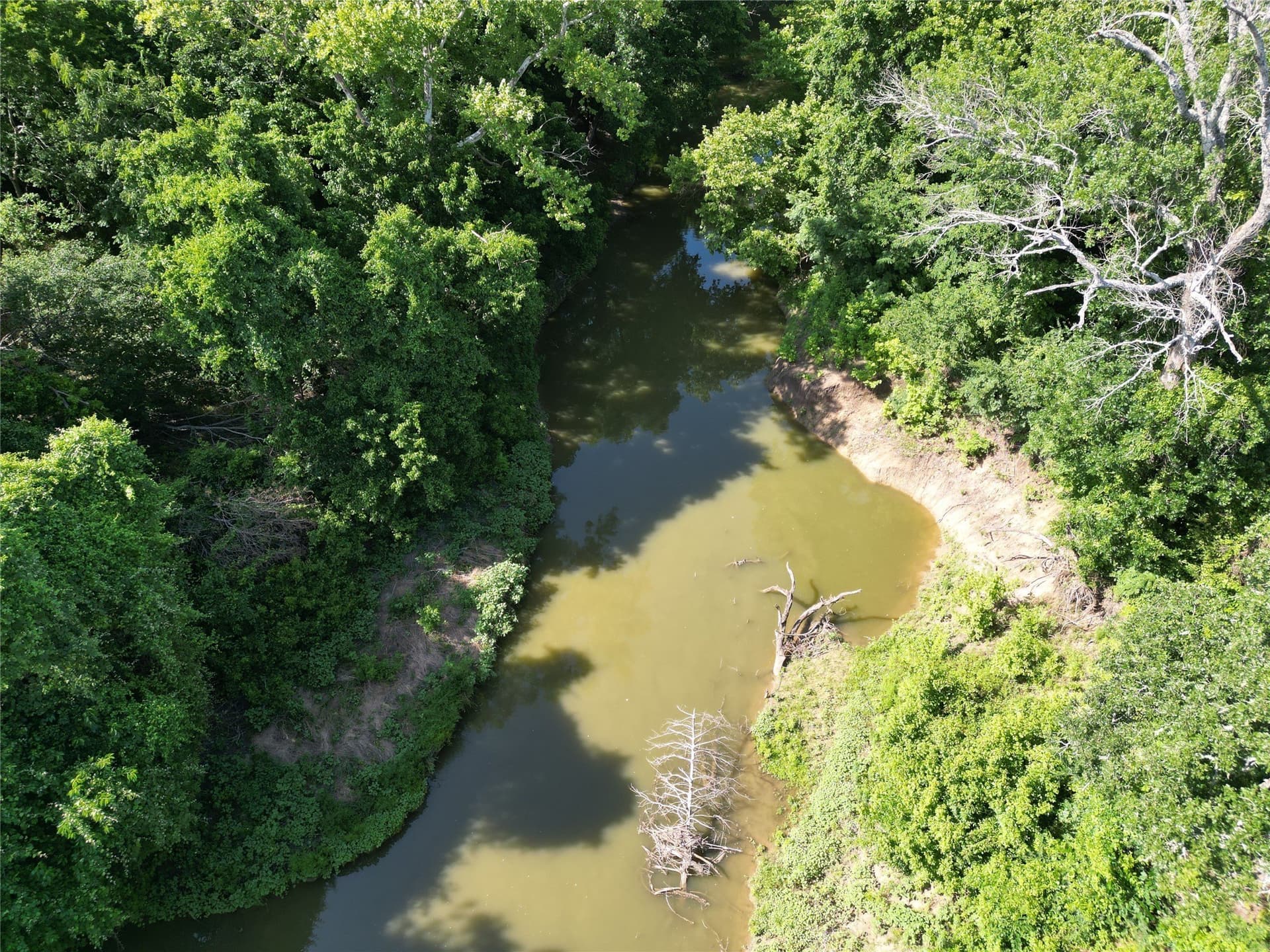 27.03 acres in Fannin County - photo 5